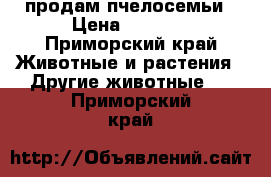 продам пчелосемьи › Цена ­ 4 000 - Приморский край Животные и растения » Другие животные   . Приморский край